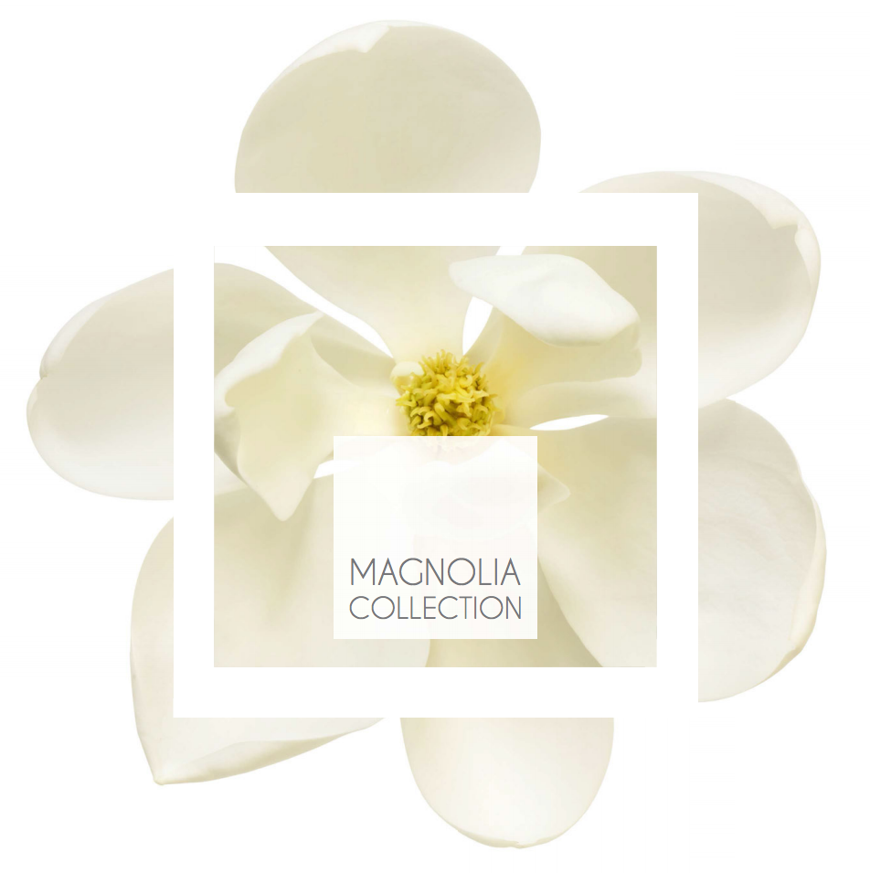 Renovamos nuestro catálogo de magnolias, con ampliación de variedades