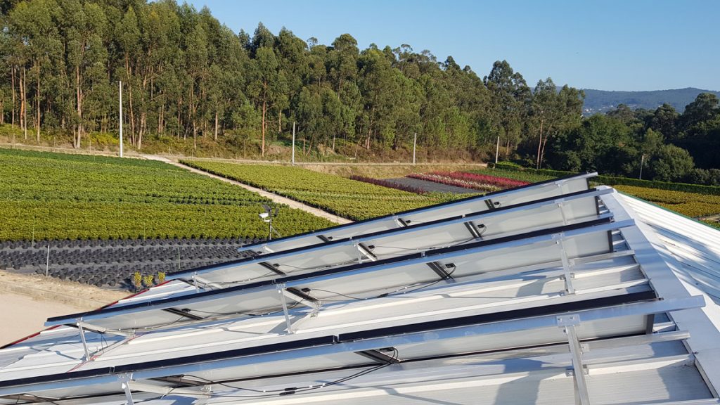 Río Tollo instala una planta de energía fotovoltaica para autoconsumo de electricidad